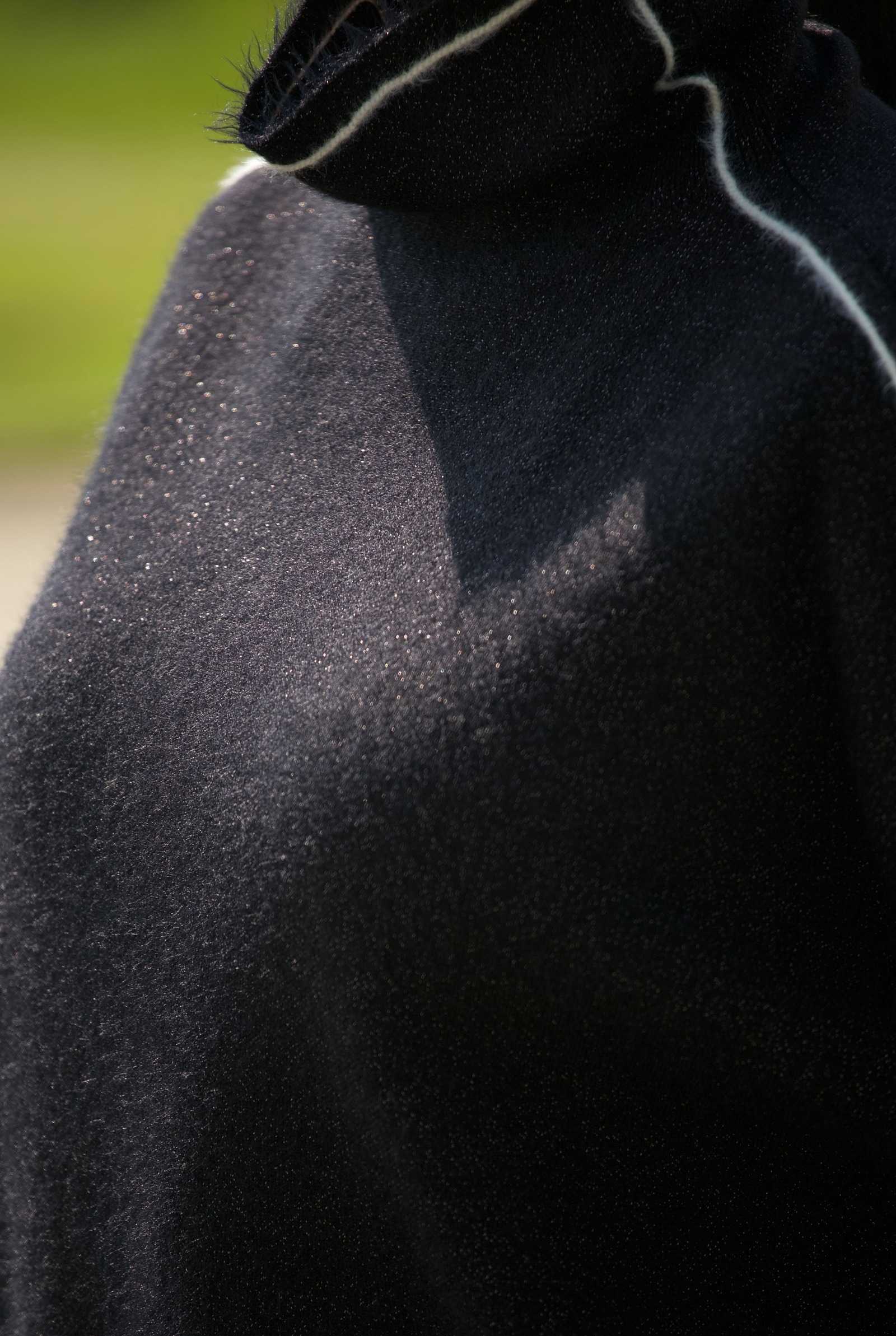 Купить костюм с брюками SERIANNO